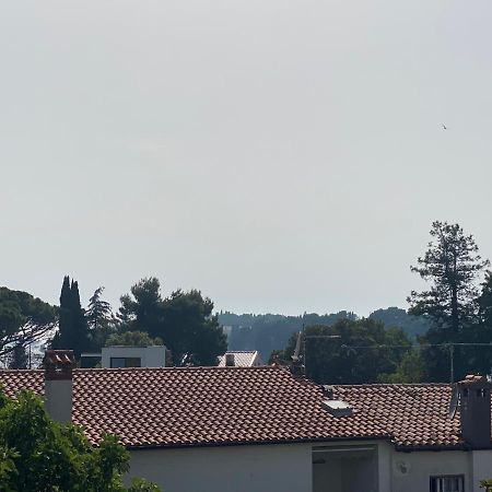 Kate Apartment Rovinj Bagian luar foto
